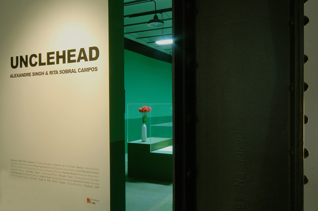 UNCLEHEAD, 2008 Rita Sobral Campos & Alex Singh EDP Foundation, Lisbon